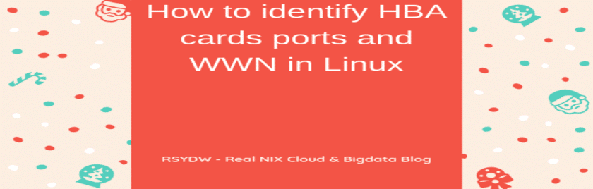 How-to-find-WWN-in-Linux