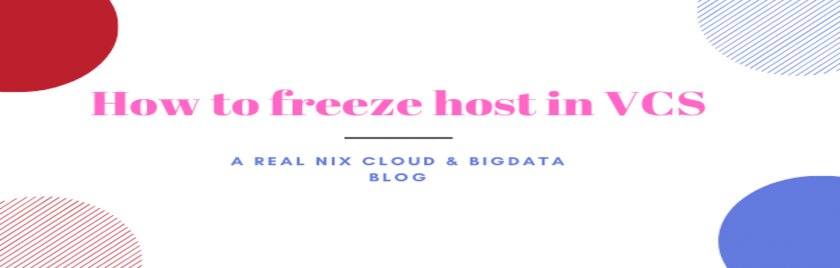How-to-freeze-host-in-VCS