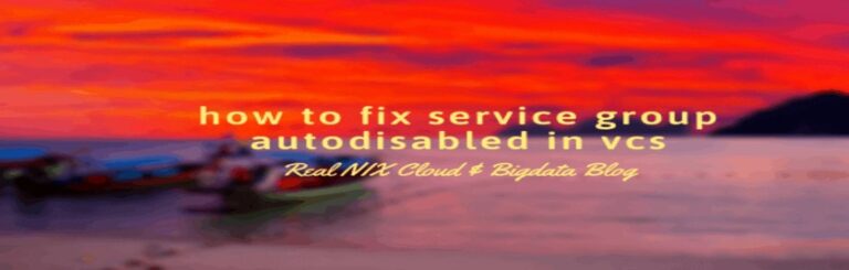 service group is in auto disabled state in vcs