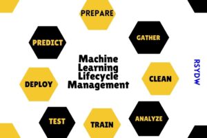 Machine Learning Lifecycle