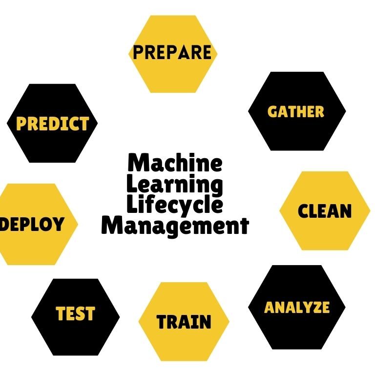 Machine Learning Lifecycle