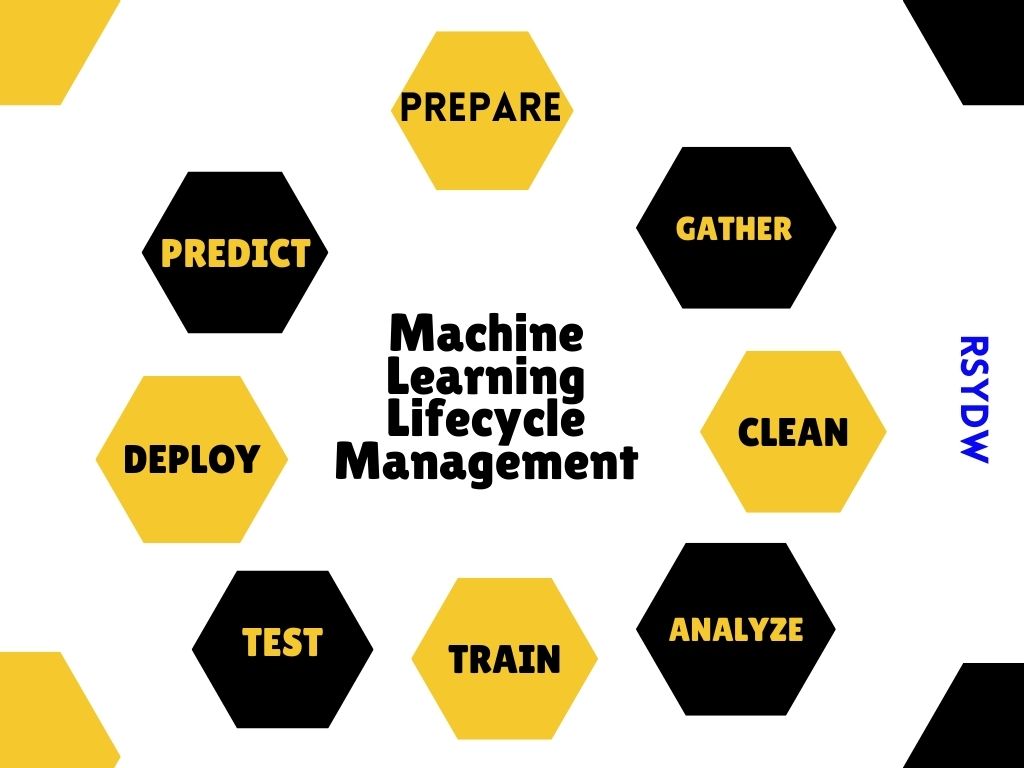 Machine Learning Lifecycle
