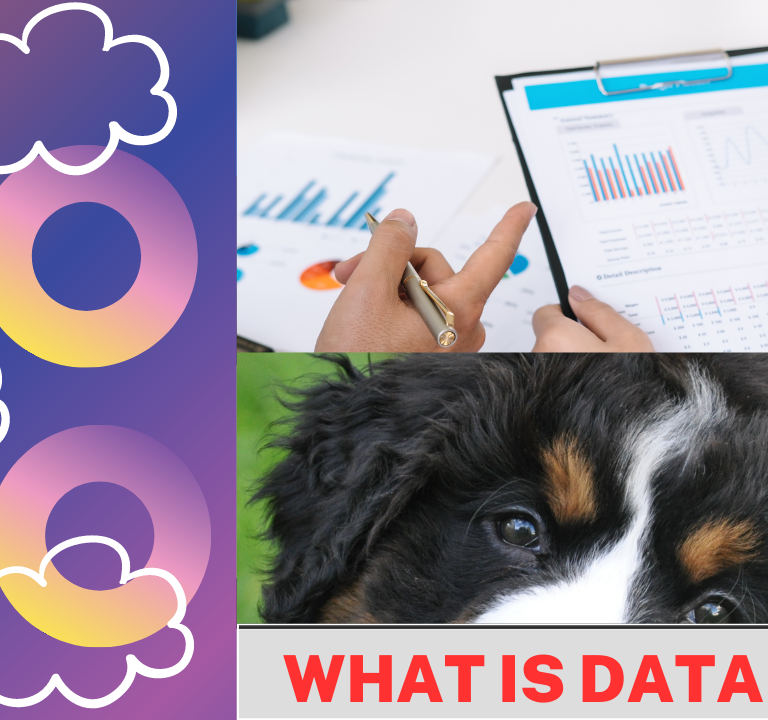 What Is Datadog?