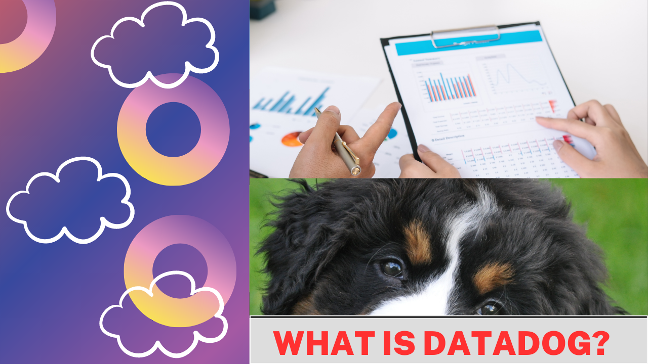 What Is Datadog?